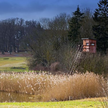 TINY HOUSE FLEESENSEE - Ruhe und Entspannung direkt am See Göhren-Lebbin Exterior foto